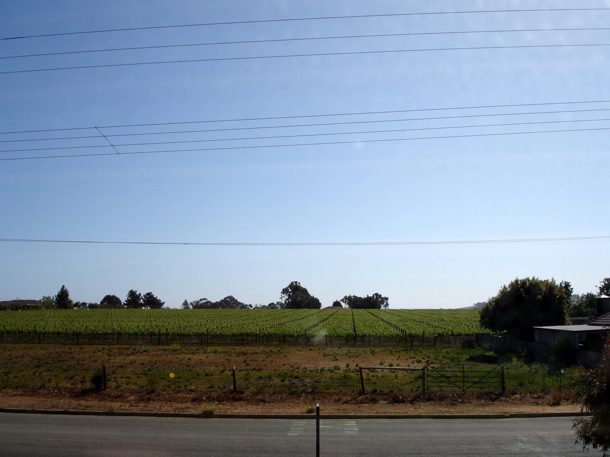The Linear Way Bed And Breakfast Mclaren Vale Exterior photo